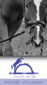 1-7_WELFARE-Circulation_iCavallidelSole_