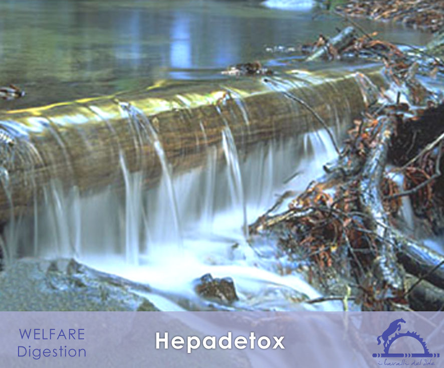 Hepadetox_iCavallidelSole_