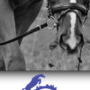 1-3_WELFARE-Movement_iCavallidelSole_