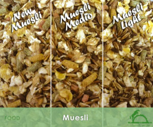 Muesli_iCavallidelSole_