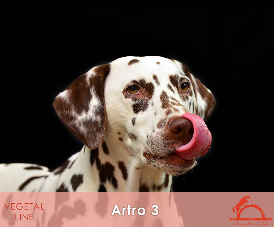 ARTRO3_iCavalliDelSole_