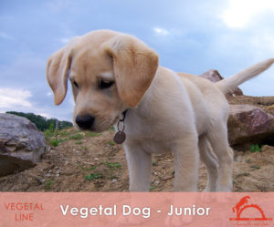 VEGETAL-DOG-JUNIOR_iCavalliDelSole_