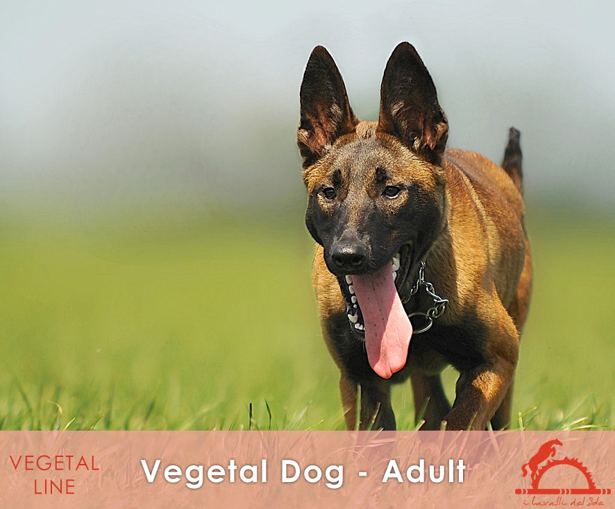 VEGETAL-DOG-ADULT_iCavalliDelSole_