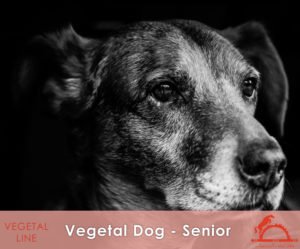 VEGETAL-DOG-SENIOR_iCavalliDelSole_