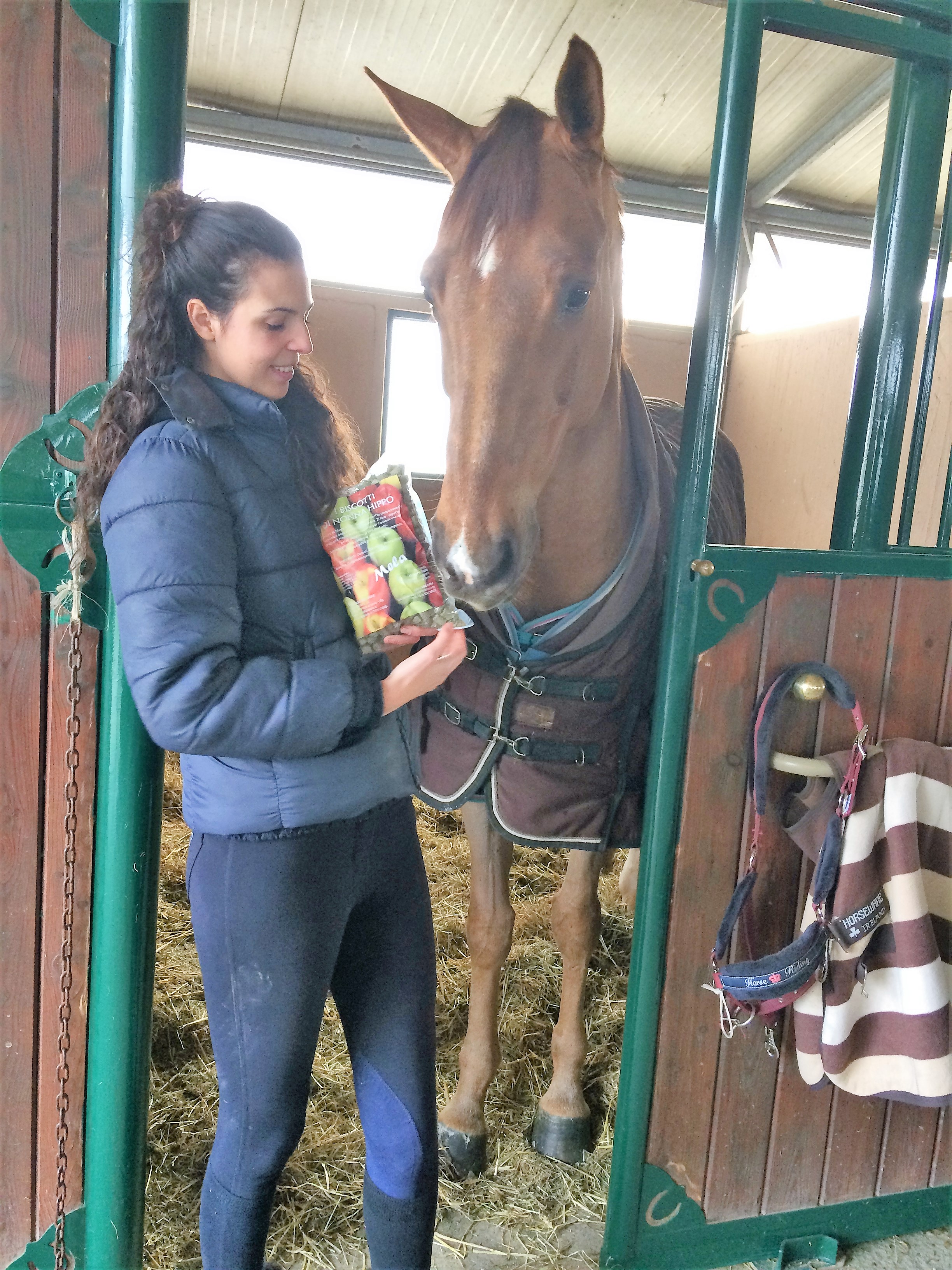 BISCOTTI DI NONNA HIPPO goloso premio per cavallo – i Cavalli del Sole