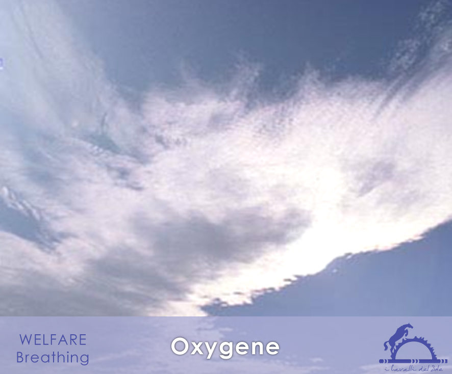 Oxygene_iCavallidelSole_