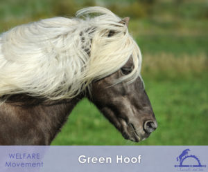 Green Hoof_iCavallidelSole_