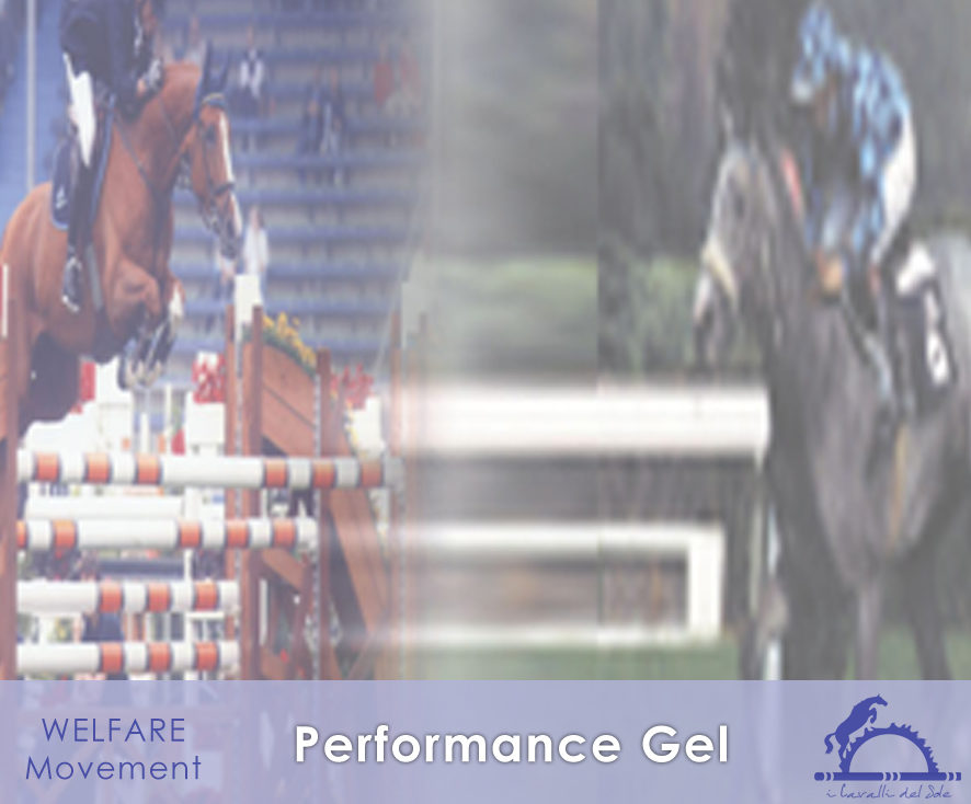 Performance Gel_iCavallidelSole_