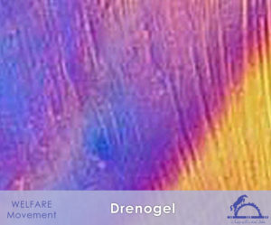 Drenogel_iCavallidelSole_