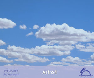 Artro4_iCavallidelSole_