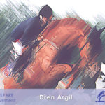 DREN ARGIL argilla con arnica forte