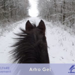 ARTRO GEL  per articolazioni con arnica