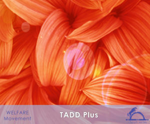 TADDplus_iCavallidelSole_