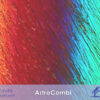ArtroCombi_iCavallidelSole_