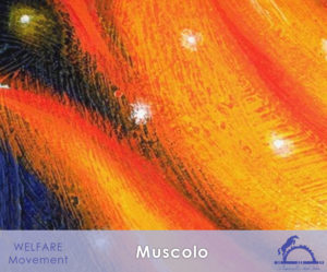 Muscolo_iCavallidelSole_