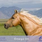 OMEGA OIL olio e vitamine per il benessere del cavallo