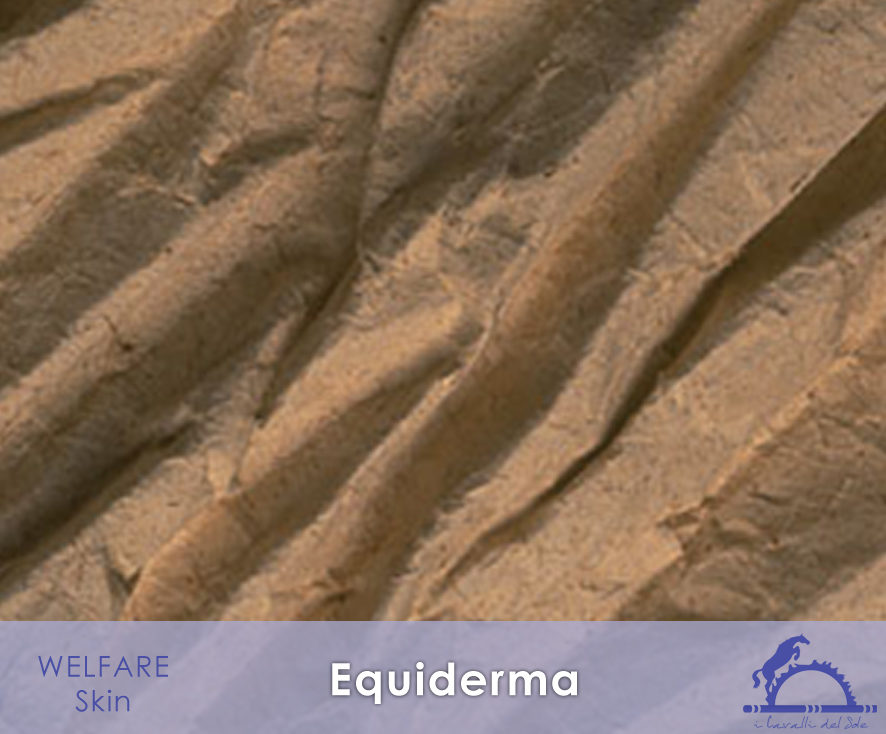 Equiderma_iCavallidelSole_