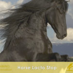 HORSE LACTO STOP smaltire l'acido lattico