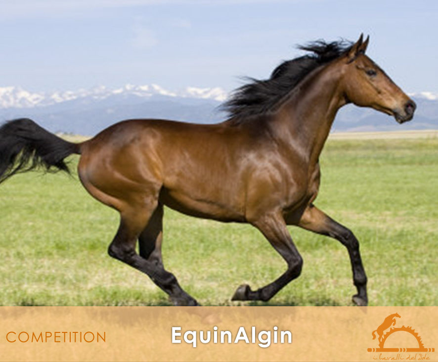 EquinAlgin_iCavallidelSole_