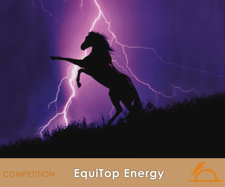 EquiTopEnergy_iCavallidelSole_