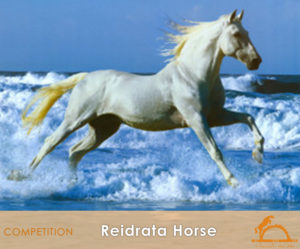 ReidrataHorse_iCavallidelSole_