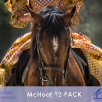 MCHOOF 12PACK impacco zoccoli con arnica forte
