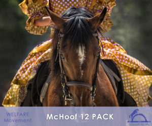 McHoof-12PACK_iCavallidelSole_