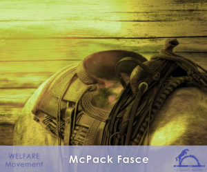 McPack-Fasce_iCavallidelSole__