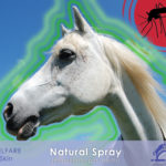 NATURAL SPRAY repellente insetti