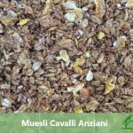 MUESLI CAVALLI ANZIANI mangime per cavalli anziani