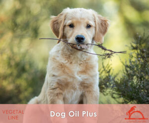 DOG OIL PLUS __ olio per dieta del tuo cane __ i Cavalli del Sole _