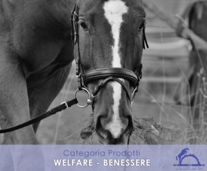 1_ WELFARE – Benessere