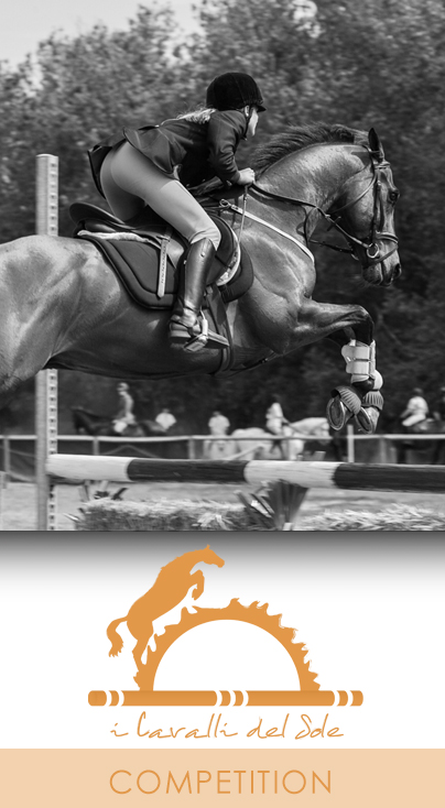 3_COMPETION_iCavallidelSole_