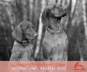 5_ VEGETAL LINE - Vegetal Dog