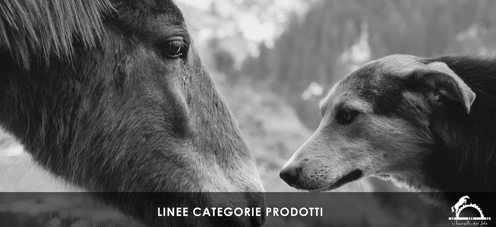 Copertina Linee Categorie Prodotti per Cavalli e Cani __ i Cavalli del Sole __