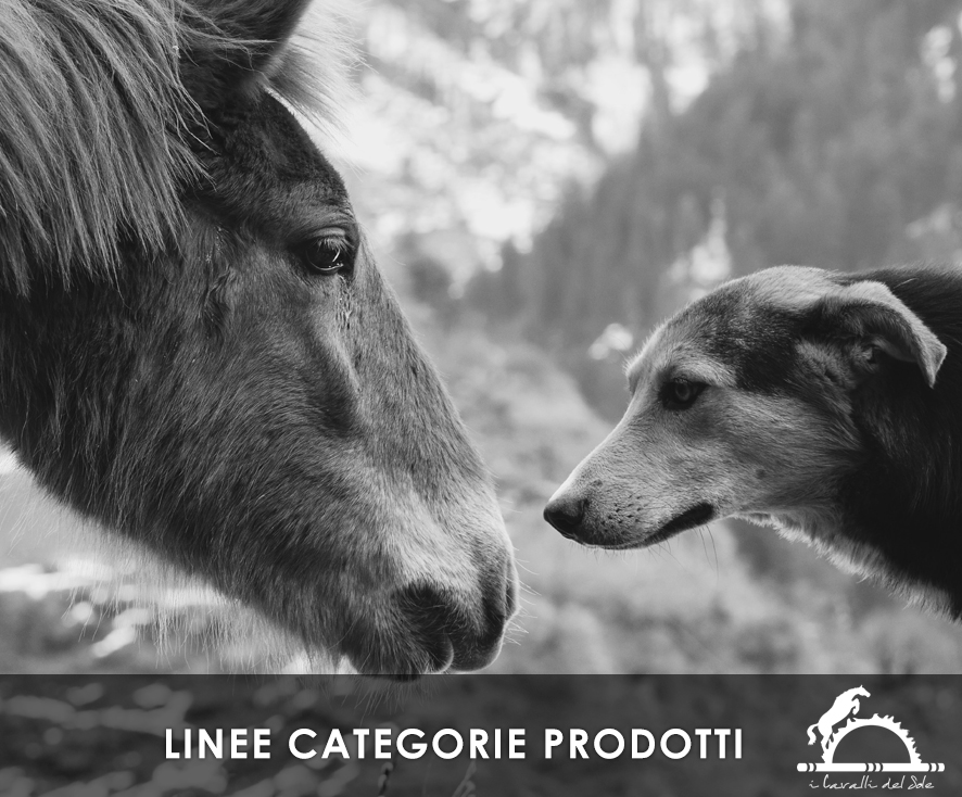 Copertina Linee Categorie Prodotti per Cavalli e Cani __ i Cavalli del Sole __